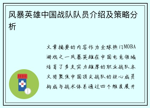 风暴英雄中国战队队员介绍及策略分析