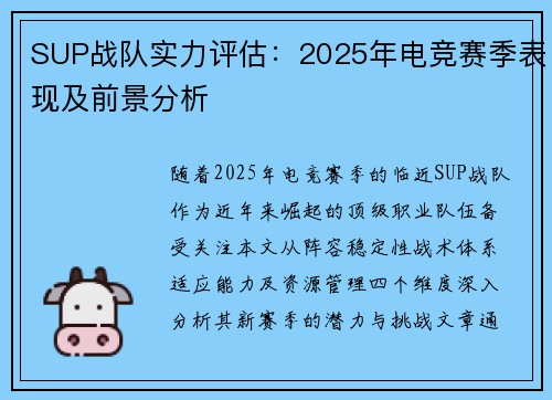 SUP战队实力评估：2025年电竞赛季表现及前景分析